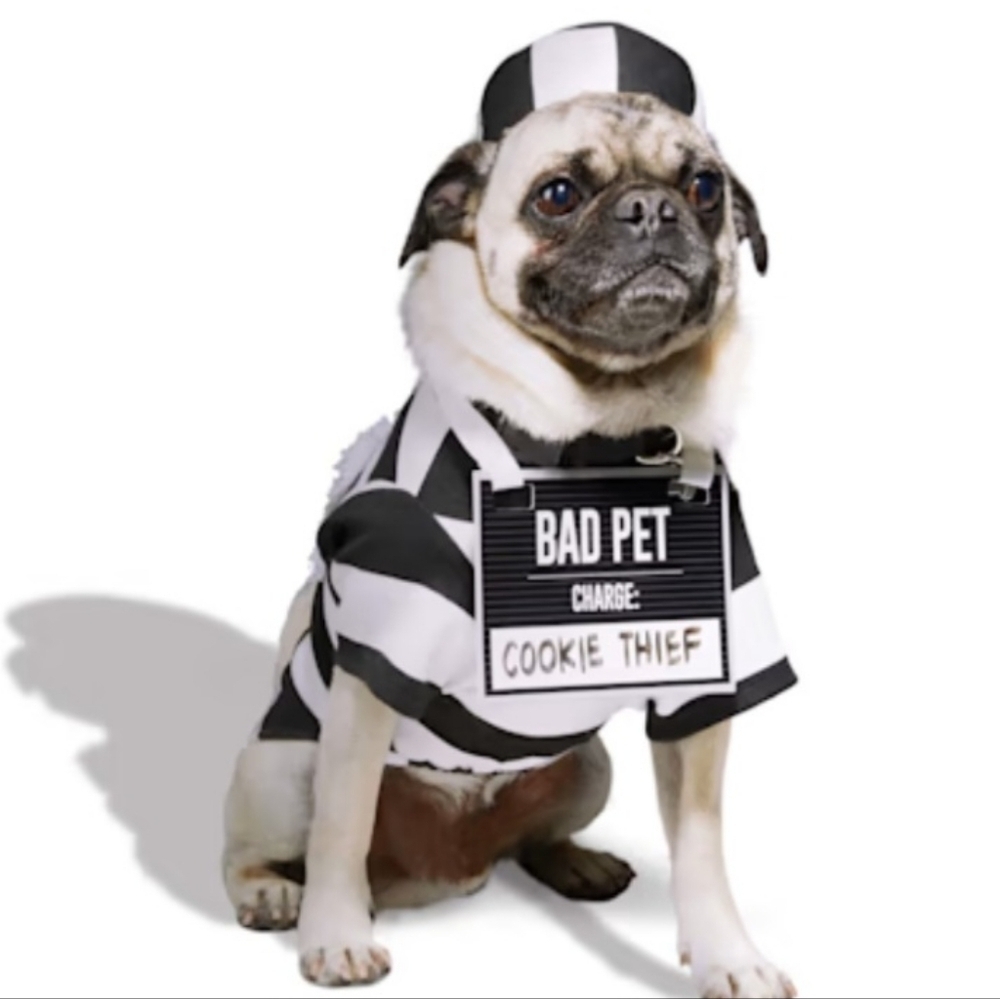 Bootique Prisoner Costume for Dogs & Cats